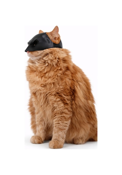 Kedi & Küçük Evcil Hayvanlar İçin Siyah Maske Dekoratif Eğlenceli Fotoğraf Maskesi Hafif