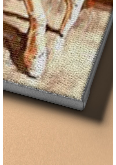Webstyle Sayılarla Boyama Seti Kasnaklı Yıldız Balerin 50 X 65 Cm