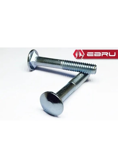 Ebru Kasa Civata 5/16x130 - 100 Adet