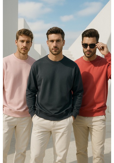 Rich Erkek 3'lü Paket Antrasit- Pudra- Nar Çiçeği Bisiklet Yaka Scuba Sweatshirt Antrasit