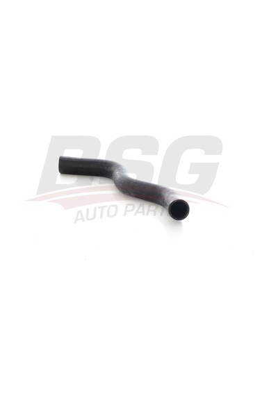 Bsg Radyator Hortumu Ust - Megane I/scenıc I 95-