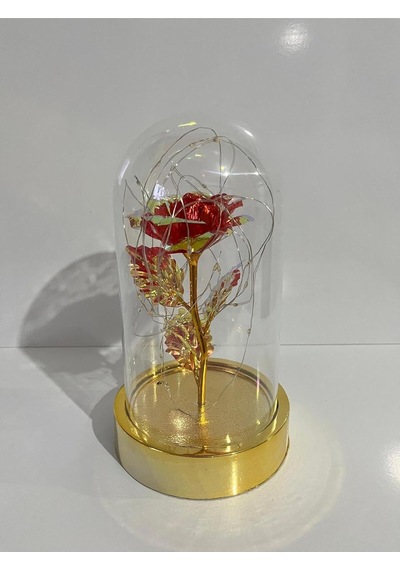 Sevgililer Ve Anneler Gününe Özel Dekoratif Solmayan Sonsuzluk Gül Işıklı Fanus Işıklı Gold Fan Standart