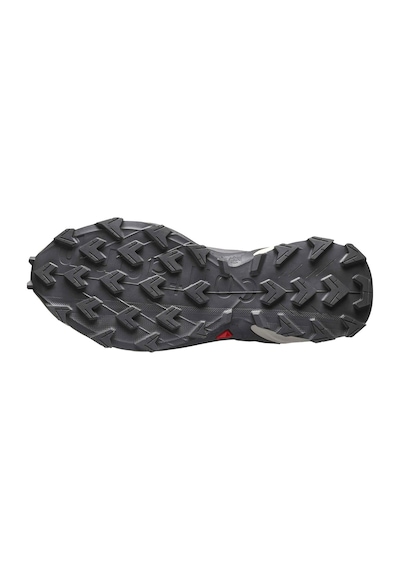 Salomon Supercross 4 Gore-tex Kadın Patika Koşusu Ayakkabısı Gri