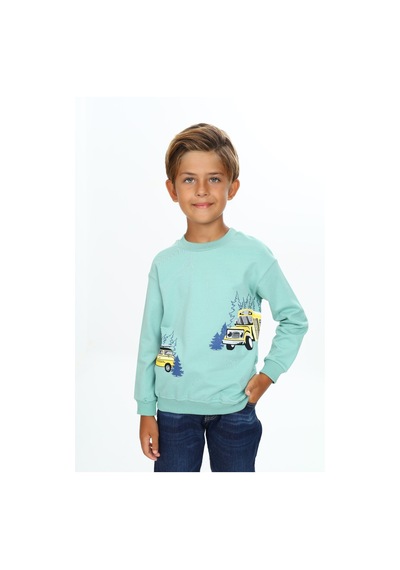 Toontoy Kids Toontoy Erkek Çocuk Relax Fit Bisiklet Yaka Hafif Düşük Omuz Baskılı Sweatshirt - 2 İplik Yeşil