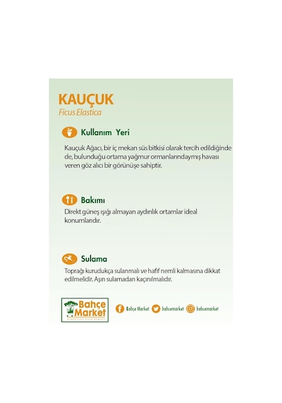 Kauçuk Tekli Yeşil