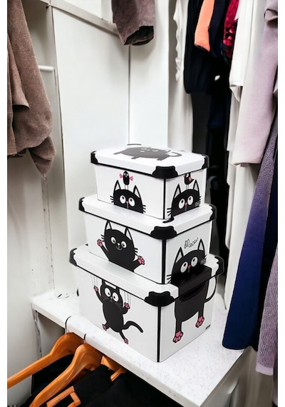 Style Box Meowdesenli 3 Parça Dekoratif Saklama Kutusu Seti Çok Renkli