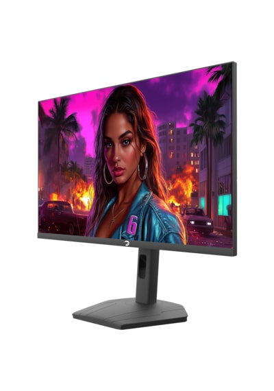 Gamepower Lunis L50 27'' 240hz 0.5ms Va Fhd Rgb Pivot Gaming Monitör Ölü Piksel