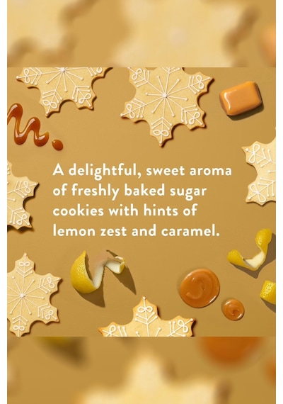 Native Sugar Cookie Alüminyumsuz Stick Deodorant 75gr