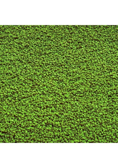 Cichlid Green Granules 1L ve Spirulina Garlic 250ml Ciklet Yemi