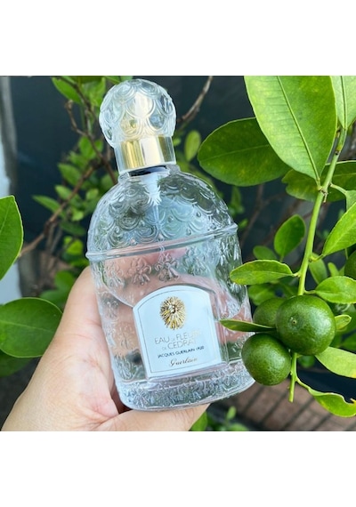 Guerlain Eau De Fleurs De Cedrat Unisex Parfüm EDT 100 ML