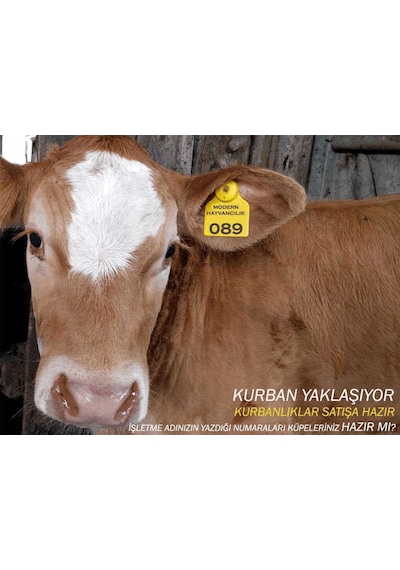 Büyükbaş Hayvan Kulak Küpesi Sarı 1-400 Arası