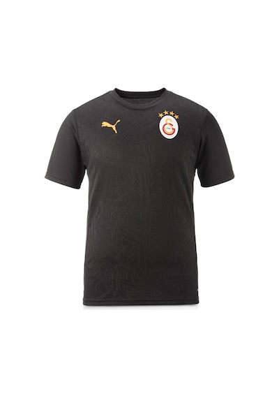 Galatasaray Lisanslı Sıfır Yaka Siyah A Takım Antrenman T-shirt Gs Aslan Baskılı Ahşap Kutulu SIYAH