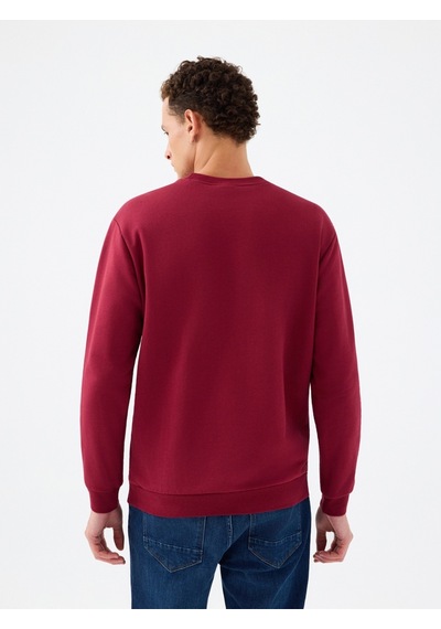 Regular Fit Erkek Sweatshirt Red Wine