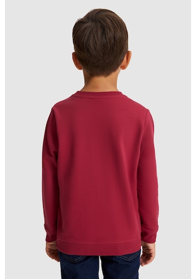 U.S. Polo Assn. Erkek Çocuk Bordo Uspa Baskılı %100 Pamuk Sweatshirt 50329910-vr223 Vişne U.S. Polo Assn. Erkek Çocuk Bordo Uspa Baskılı %100 Pamuk Sweatshirt 50329910-vr223 Vişne