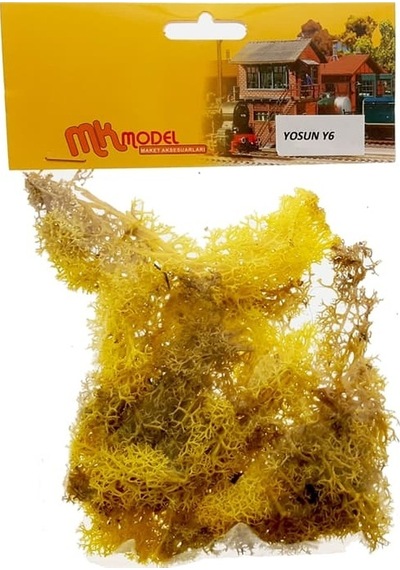 Mk Model Maket Zemin Yosun N Y6
