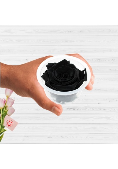 Şoklanmış Solmayan Gül. 5 CM - Siyah