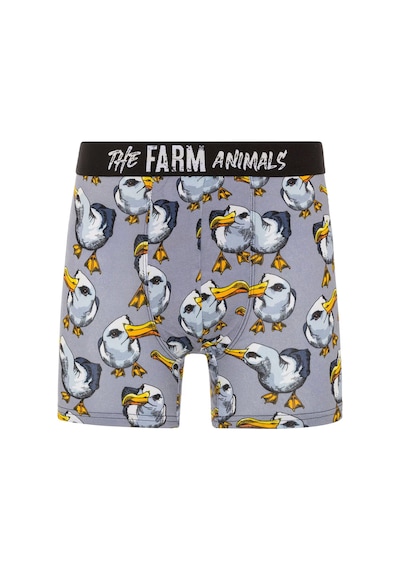 Farm Animals Seagull Desenli Boxer Çok Renkli