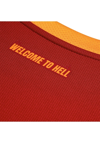 Puma Galatasaray 26/27 Erkek İç Saha Parçalı Forma 78499101