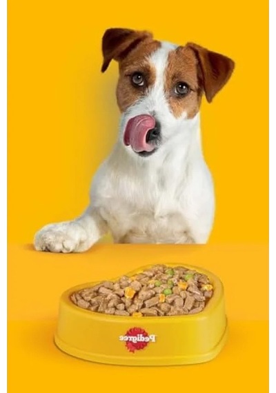 Köpekler İçin Dentastix Ödül Maması, 110 Gr