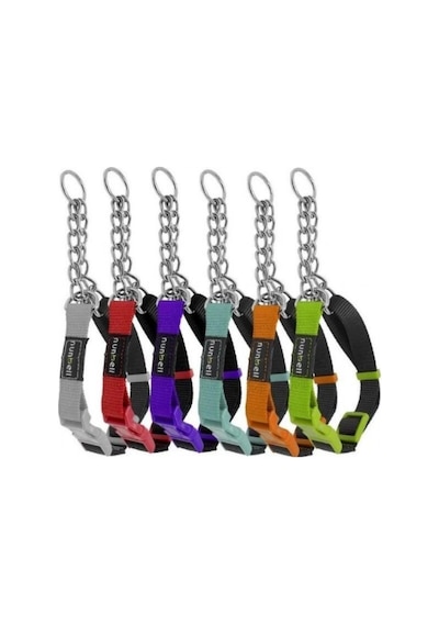 Nunbell Köpek Boyun Tasması Zincirli 2 Cm Çok Renkli