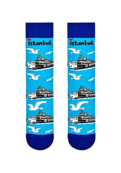 Carnaval Socks İstanbul Martı Vapur Desenli Soket Çorap Renkli