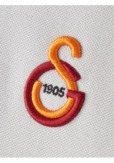 Gsstore Galatasaray Erkek Polo T-shirt E252104 Gri