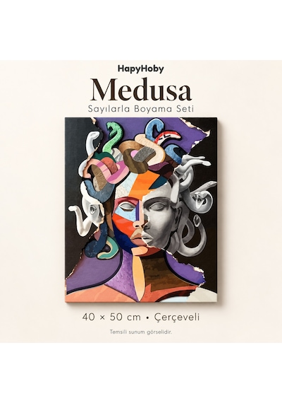 Medusa Sayılarla Boyama Seti - Çerçeveli, 40x50cm