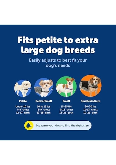 Easy Walk No-pull Köpek Koşum Takımı - Çekmeyi Durdurmaya Yardımcı Olacak Nihai Koşum Takımı - Kontrolü Ele A Genel