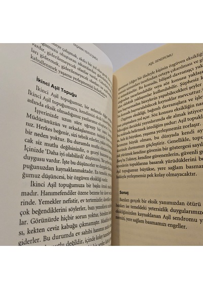 Yaşama Yerleşmek