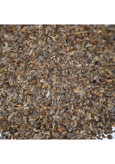 Geniş Büyük Yapraklı Saksılık Maydanoz Tohumu 1 Gram