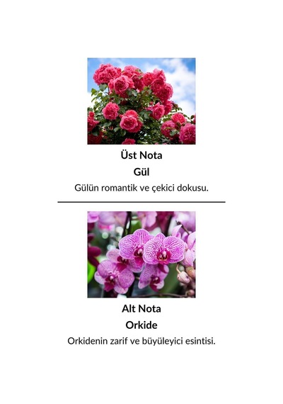 Alescia St-57 Kadın Parfüm EDP 50 ML