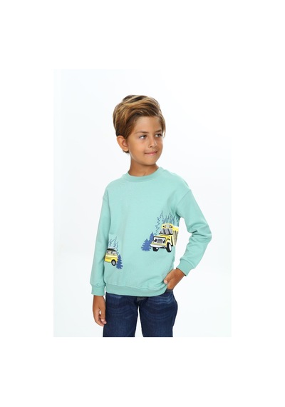 Toontoy Kids Toontoy Erkek Çocuk Relax Fit Bisiklet Yaka Hafif Düşük Omuz Baskılı Sweatshirt - 2 İplik Yeşil