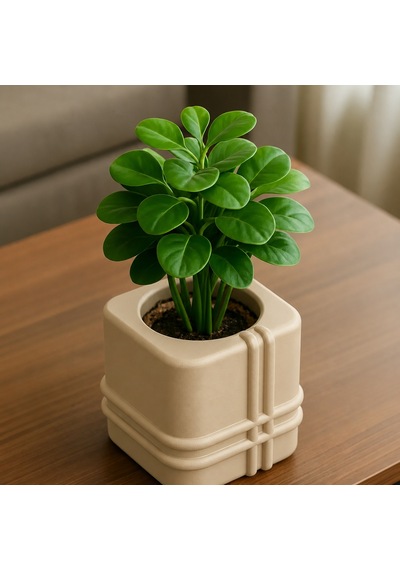 3d Baskı Square Planter - Izgara Desenli Küp Saksı-bej