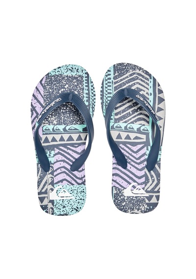 Quiksilver Molokaı Art Youth Renkli Renkli Çok Renkli