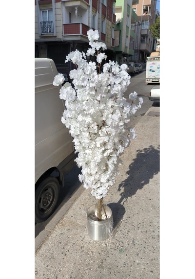 Rüzgar Yapay Çiçekçilik 130 Cm Beyaz Lüx Bahardalı Beyaz