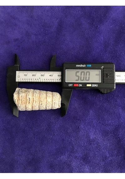 Kafadanbacaklı Baculites Fosil 45 Gram
