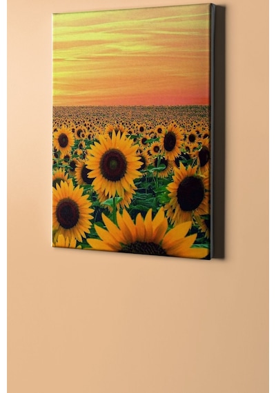 Webstyle Sayılarla Boyama Seti Kasnaklı Günebakan Tarlası 40 X 50 Cm