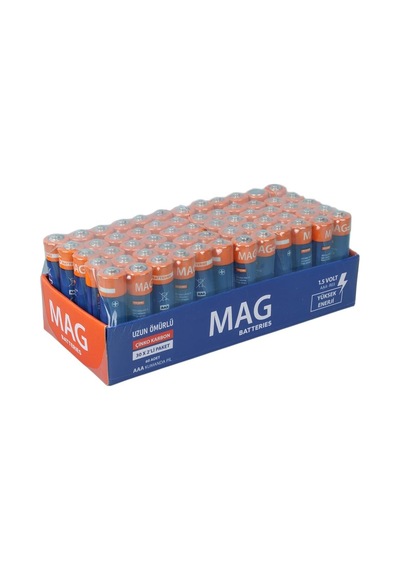 Parcbeny 29172 60 Adet Mag Batterıes Mg-26172 Karbon Çinko Aaa 60'lı İnce Kalem Kumanda Pili R03 Um-4
