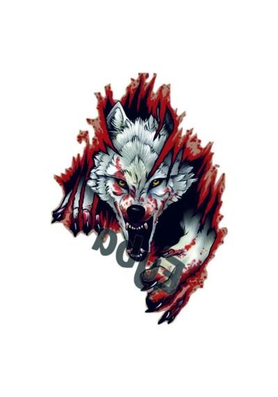 Türk Bayrağı Beyaz Sağ Kurt Bozkurt Boz Kurt Sticker 26x18 Cm