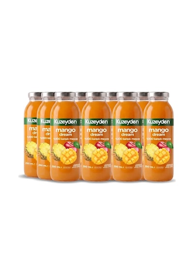 %100 Meyve Mango Dream 12x250ml