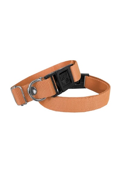 Köpek Tasması Dokuma 2 Cm - Min: 30 Cm - Max: 50 Cm Tcu Çok Renkli