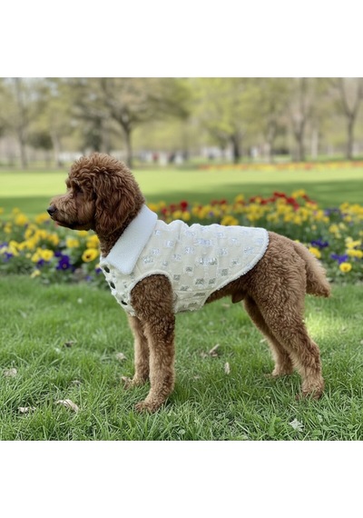 Kedi - Köpek İçi Polarlı Dışı Payetli Kışlık Kot Ceket - Mont - Yağmurluk - Yelek -kıyafet
