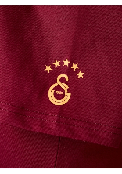Gsstore Galatasaray Erkek T-shirt E261086 Bordo