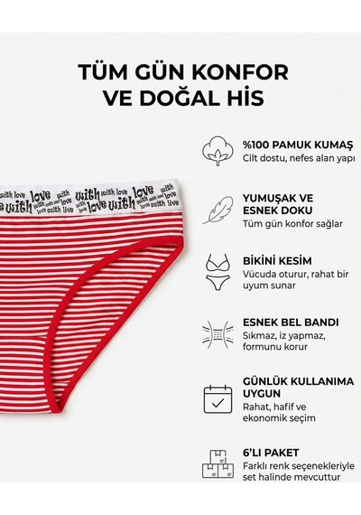 6 Lı Kadın Çizgili Karışık Renk Pamuklu Bikini Külot With Love 001
