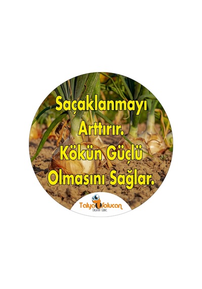 Çiçek Coşturan Kullanıma Hazır Yaprak Gübre 750 ML