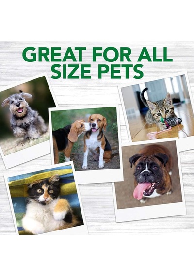 Köpekler İçin 3 Başlıklı Diş Fırçası