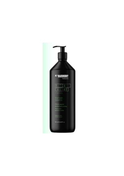X Pro Harmony B-Tox Şampuan 350 ML