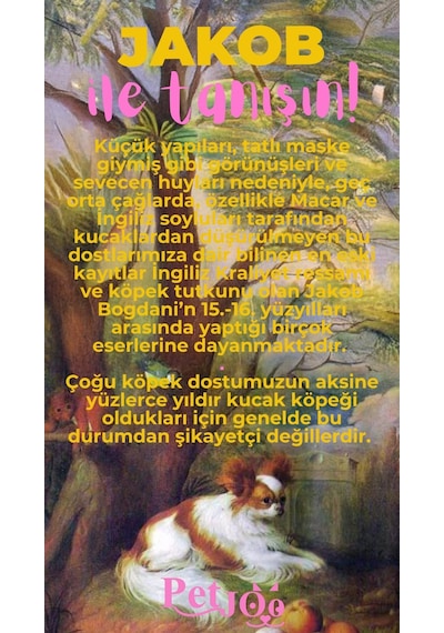 Petjoo 8.Jakob Pembe-Sarı Qr'lı Köpek Künyesi