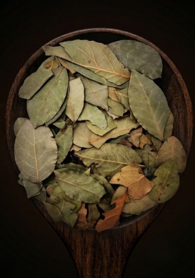 İpek Değirmen Defne Yaprağı Taze Kurutulmuş Yeni Mahsul Aromatik Baharat Ekonomik 1 KG