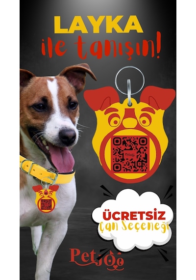 Petjoo 22.Layka Kırmızı-Sarı Qr'lı Köpek Künyesi